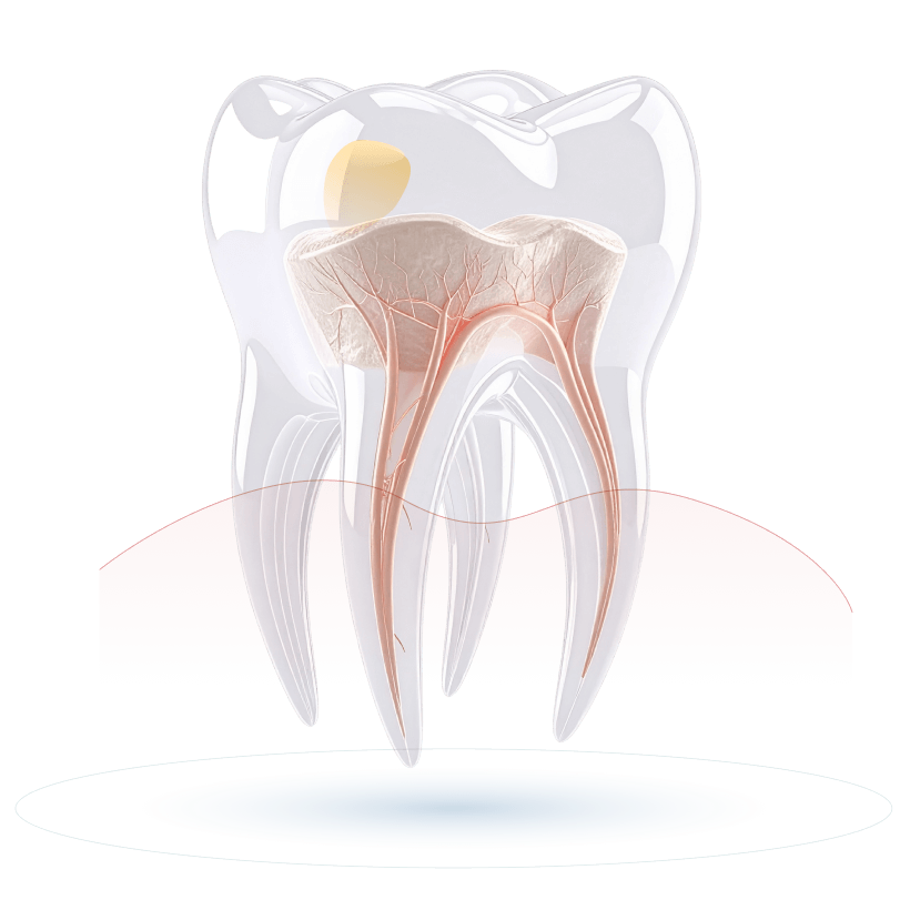 For Your Smile Dental clinic Calgary NW Crowfoot